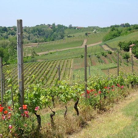 Cascina Rollone Βίλα Rocchetta Tanaro Εξωτερικό φωτογραφία